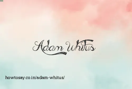 Adam Whitus