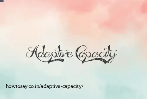 Adaptive Capacity