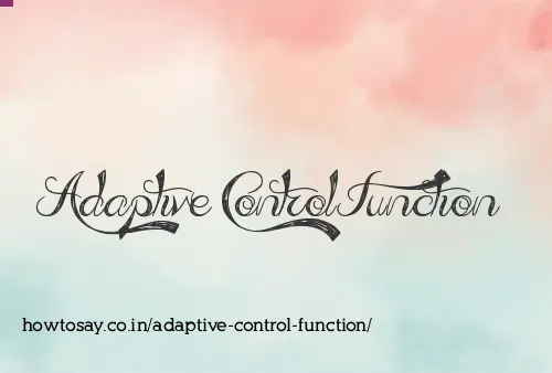 Adaptive Control Function
