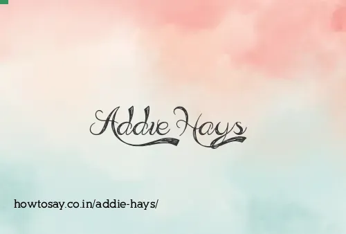 Addie Hays