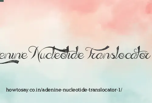 Adenine Nucleotide Translocator 1
