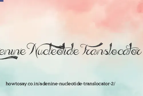 Adenine Nucleotide Translocator 2