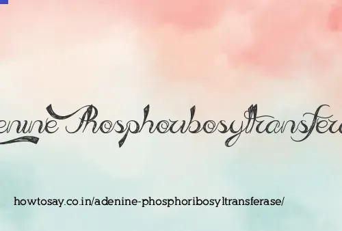 Adenine Phosphoribosyltransferase