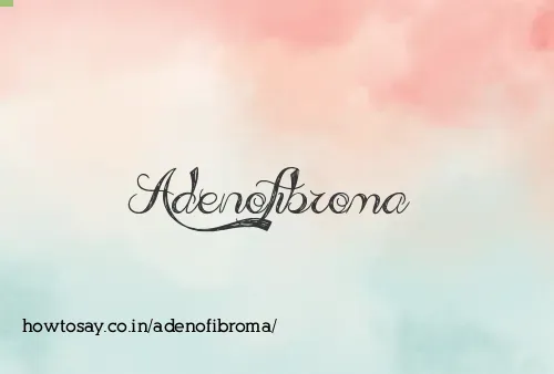 Adenofibroma