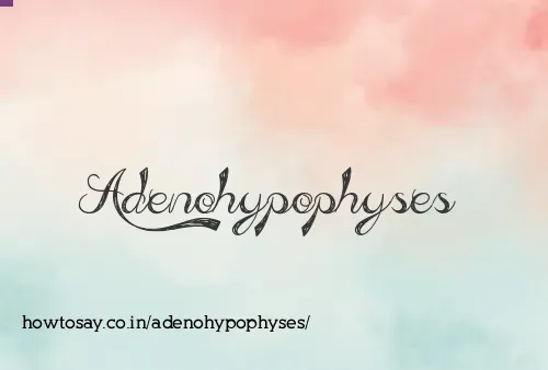 Adenohypophyses