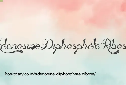 Adenosine Diphosphate Ribose