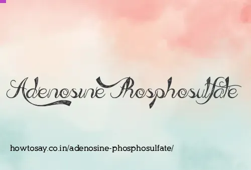 Adenosine Phosphosulfate