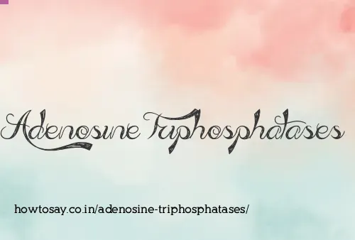 Adenosine Triphosphatases