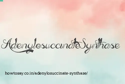 Adenylosuccinate Synthase