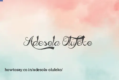 Adesola Olufeko