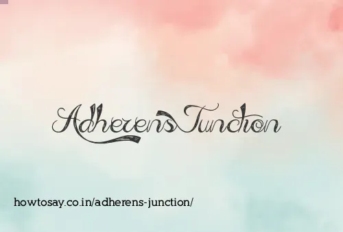 Adherens Junction