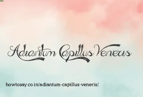 Adiantum Capillus Veneris