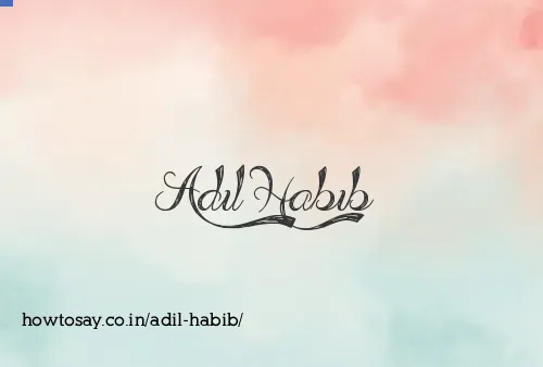 Adil Habib
