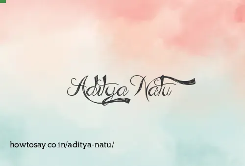 Aditya Natu