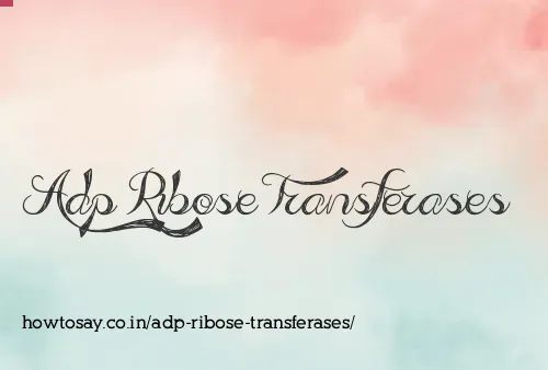 Adp Ribose Transferases