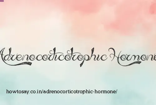 Adrenocorticotrophic Hormone