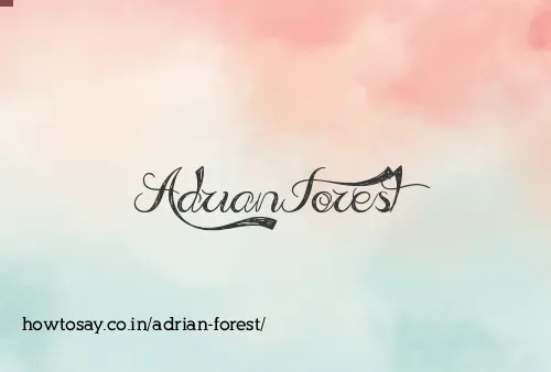 Adrian Forest
