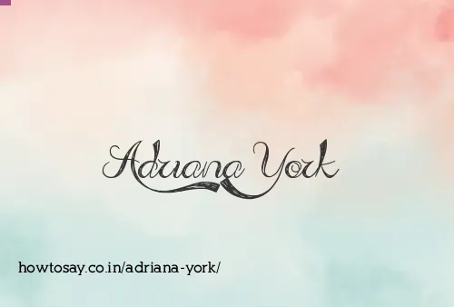 Adriana York