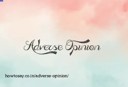 Adverse Opinion