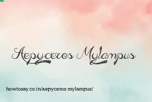 Aepyceros Mylampus