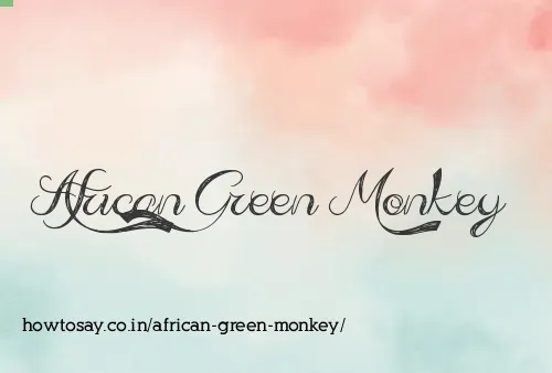 African Green Monkey