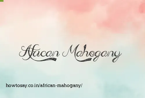 African Mahogany