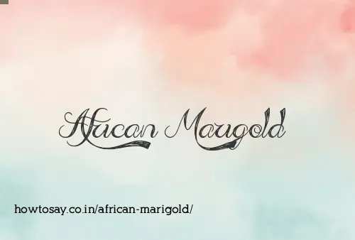 African Marigold