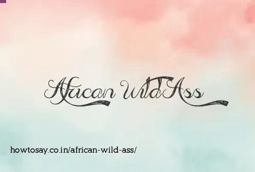 African Wild Ass