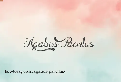 Agabus Parvilus