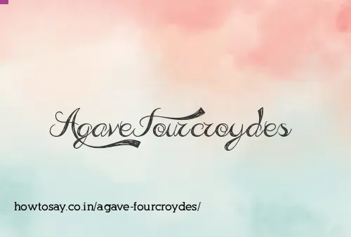 Agave Fourcroydes