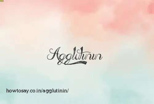 Agglutinin