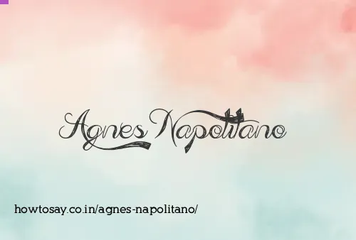 Agnes Napolitano