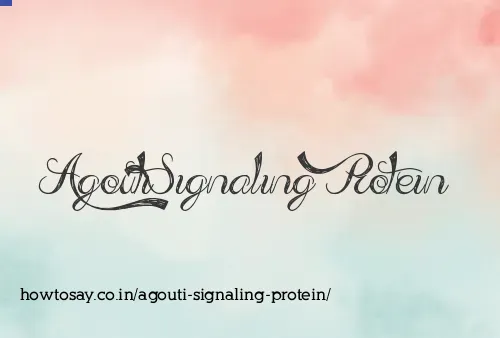 Agouti Signaling Protein