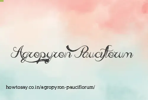 Agropyron Pauciflorum