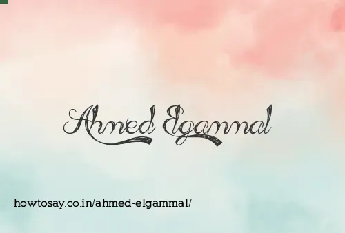 Ahmed Elgammal