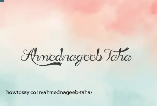 Ahmednageeb Taha