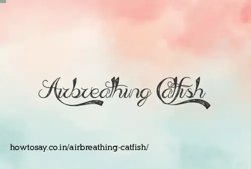 Airbreathing Catfish