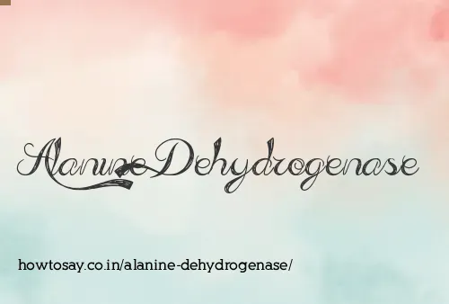 Alanine Dehydrogenase
