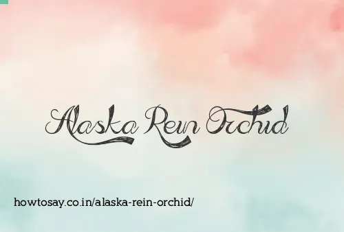 Alaska Rein Orchid
