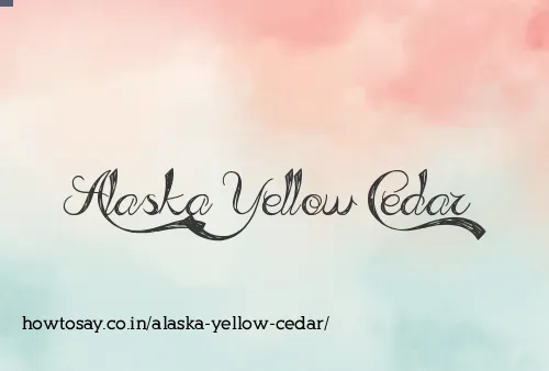 Alaska Yellow Cedar