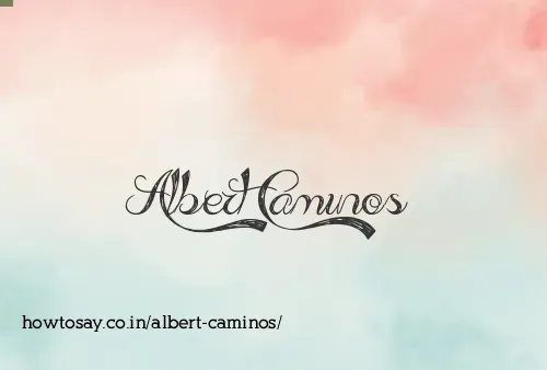 Albert Caminos
