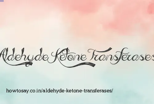 Aldehyde Ketone Transferases