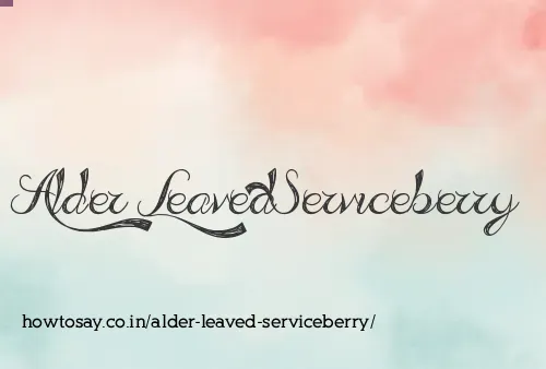 Alder Leaved Serviceberry