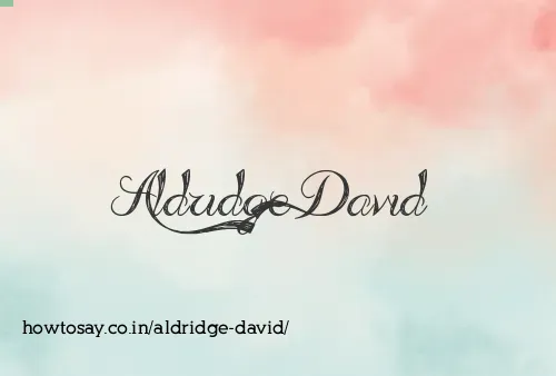 Aldridge David