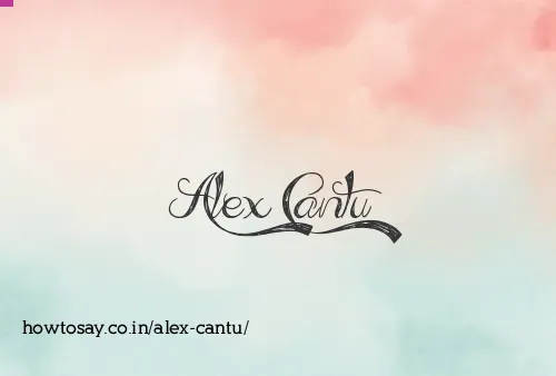 Alex Cantu