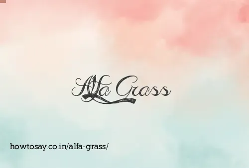 Alfa Grass