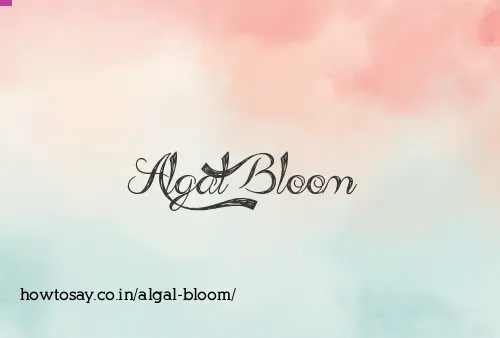 Algal Bloom