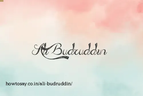 Ali Budruddin