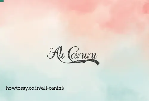 Ali Canini