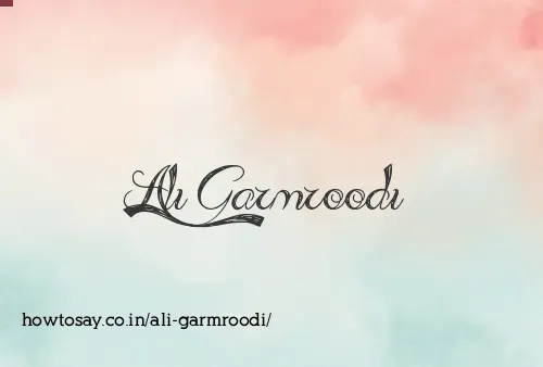 Ali Garmroodi
